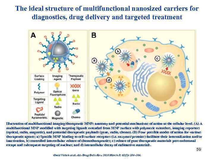 The ideal structure of multifunctional nanosized carriers for diagnostics, drug delivery and targeted treatment