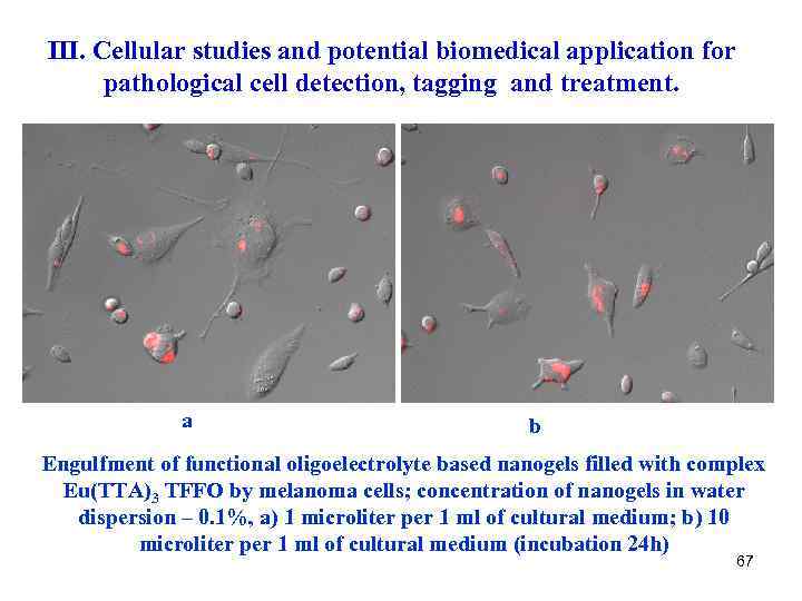 III. Cellular studies and potential biomedical application for pathological cell detection, tagging and treatment.