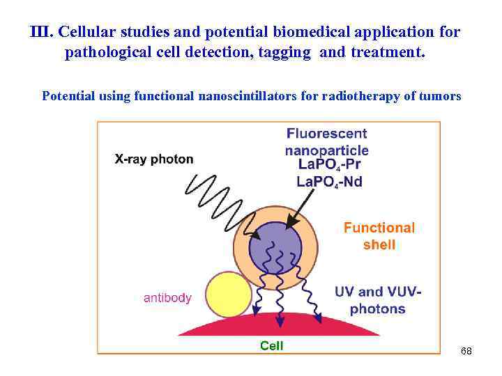 III. Cellular studies and potential biomedical application for pathological cell detection, tagging and treatment.