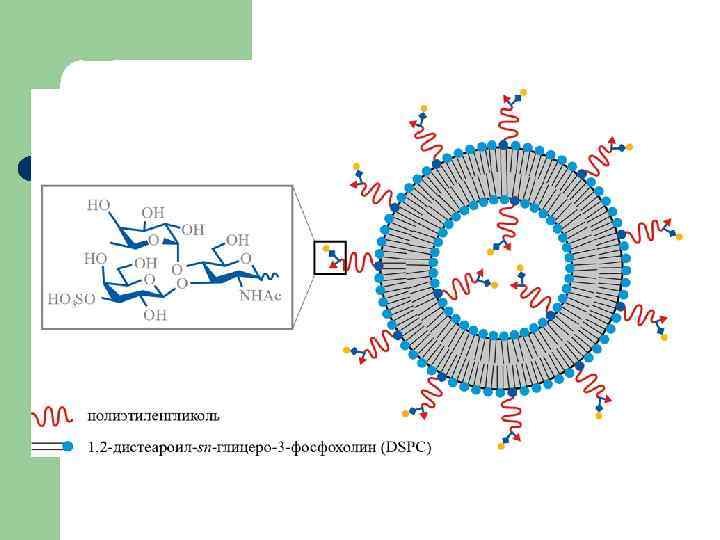 ФОРМИ З НЕ ХІМІЧНО ВВЕДЕНОЮ БАР 