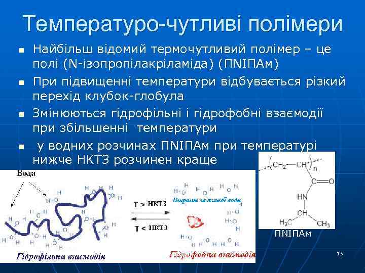 Температуро-чутливі полімери n n Найбільш відомий термочутливий полімер – це полі (N-ізопропілакріламіда) (ПNІПАм) При