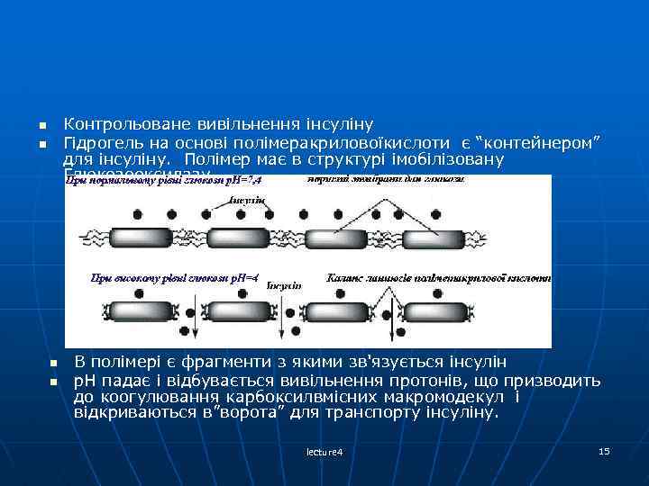 Контрольоване вивільнення інсуліну Гідрогель на основі полімеракриловоїкислоти є “контейнером” для інсуліну. Полімер має в