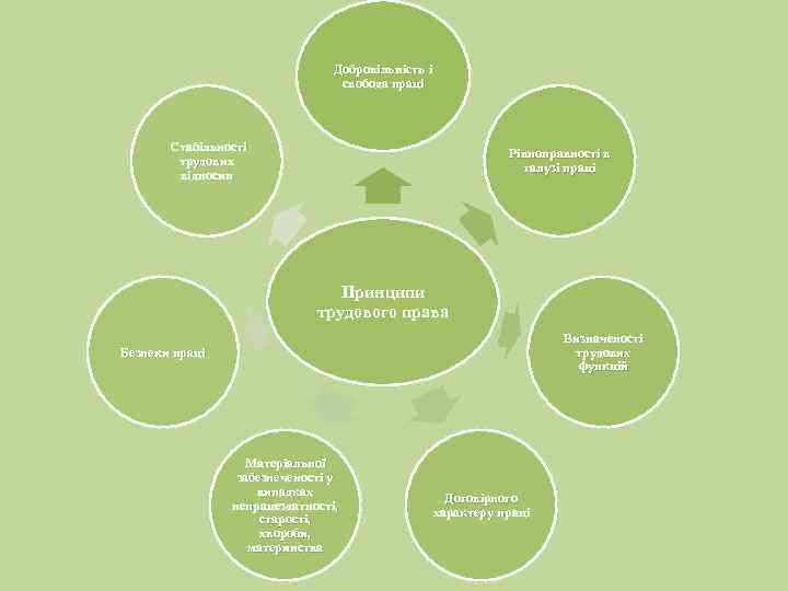Добровільність і свобода праці Стабільності трудових відносин Рівноправності в галузі праці Принципи трудового права
