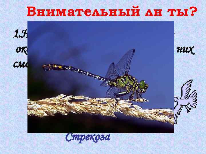 Внимательный ли ты? 1. Назовите насекомое, у которого около 30 тысяч глаз и каждый