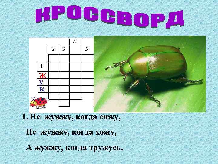 Ж у к 1. Не жужжу, когда сижу, Не жужжу, когда хожу, А жужжу,