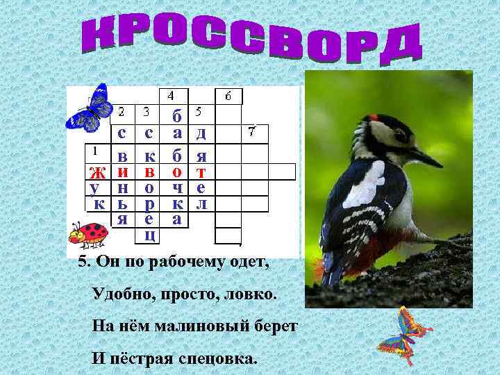 с в Ж и у н к ь я с к в о р