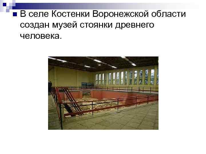n В селе Костенки Воронежской области создан музей стоянки древнего человека. 