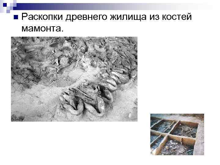 n Раскопки древнего жилища из костей мамонта. 