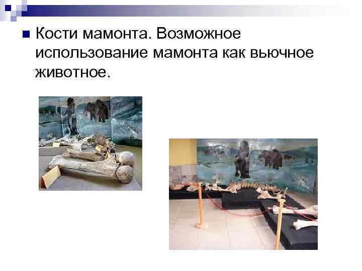 n Кости мамонта. Возможное использование мамонта как вьючное животное. 