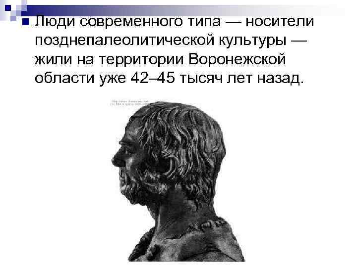 n Люди современного типа — носители позднепалеолитической культуры — жили на территории Воронежской области