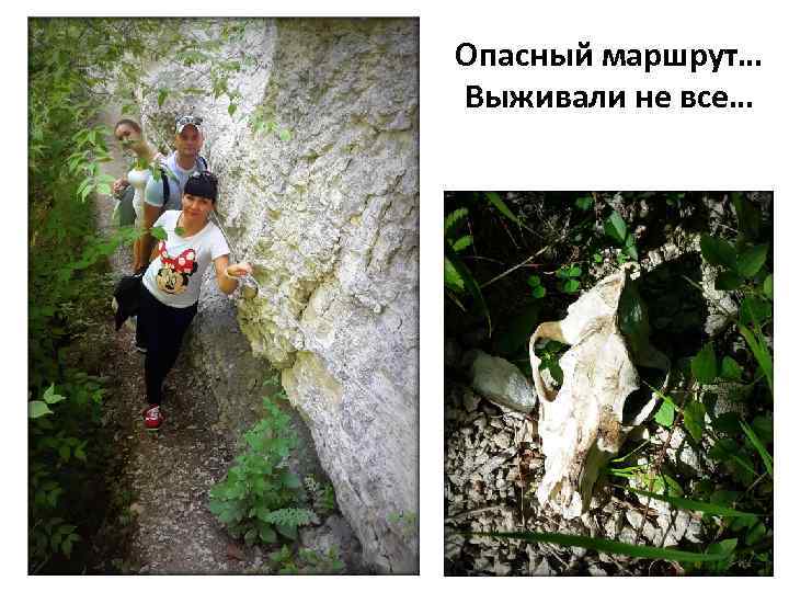 Опасный маршрут… Выживали не все… 