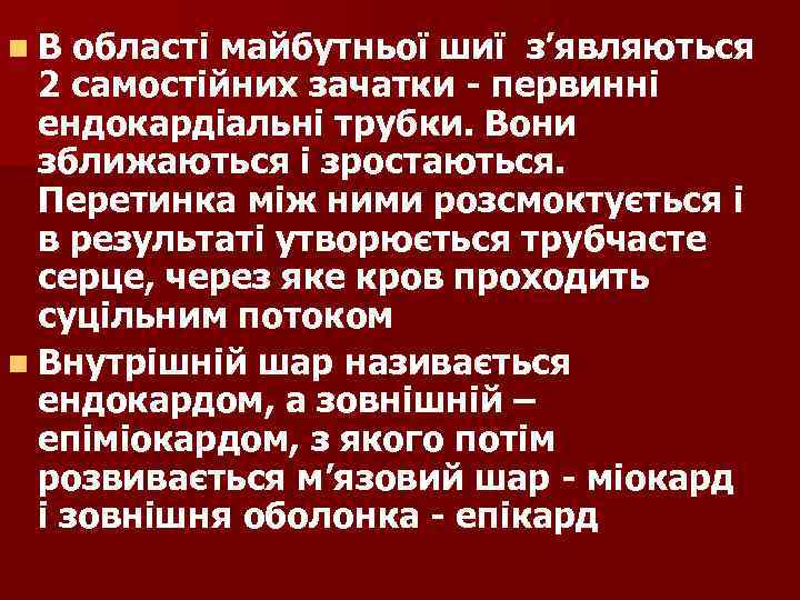 n. В області майбутньої шиї з’являються 2 самостійних зачатки - первинні ендокардіальні трубки. Вони