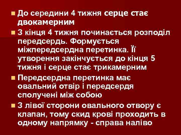 n До середини 4 тижня серце стає двокамерним n З кінця 4 тижня починається