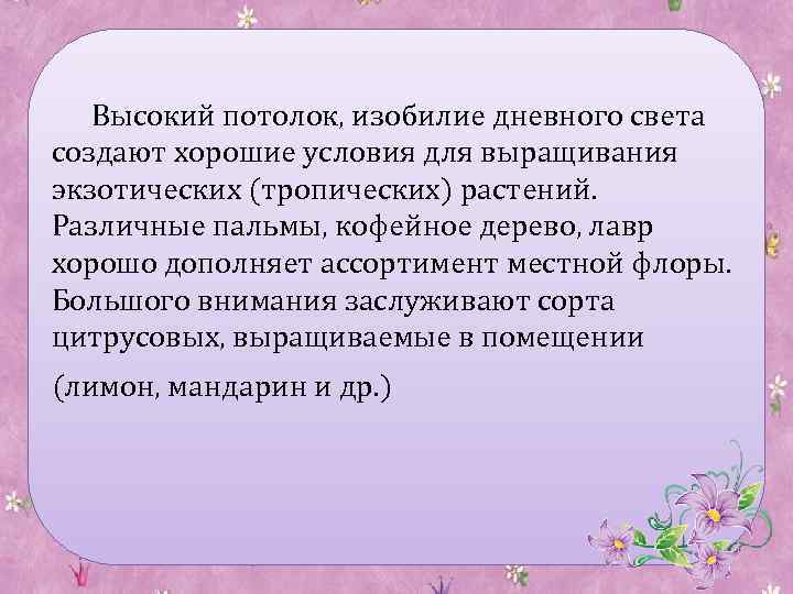 Высокий потолок, изобилие дневного света создают хорошие условия для выращивания экзотических (тропических) растений. Различные