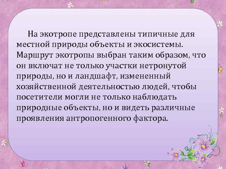 На экотропе представлены типичные для местной природы объекты и экосистемы. Маршрут экотропы выбран таким