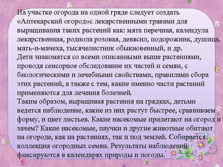 На участке огорода на одной гряде следует создать «Аптекарский огород» с лекарственными травами для