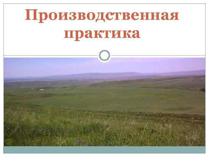 Производственная практика 
