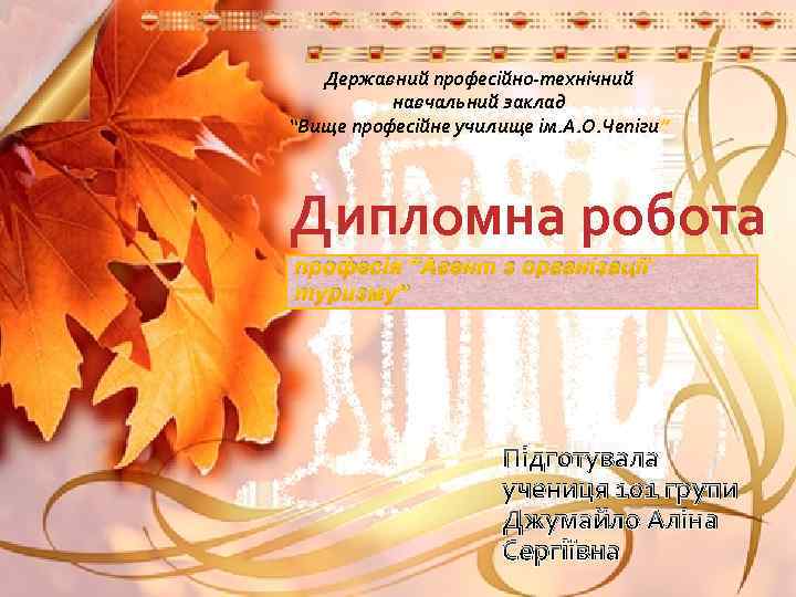 Державний професійно-технічний навчальний заклад “Вище професійне училище ім. А. О. Чепіги” Дипломна робота професія