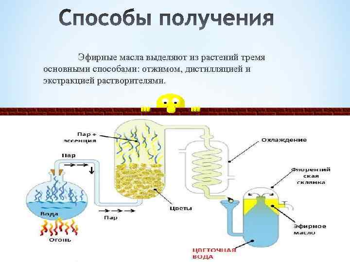 Тема получение