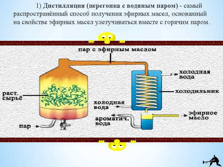 1) Дистилляция (перегонка с водяным паром) - самый распространённый способ получения эфирных масел, основанный