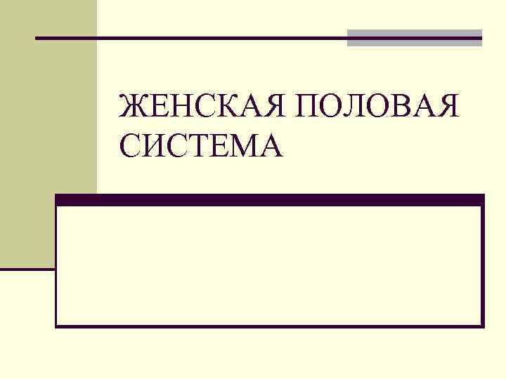 Презентация женская половая система