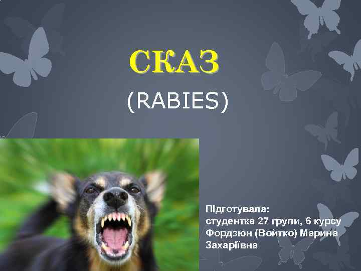 СКАЗ (RABIES) Підготувала: студентка 27 групи, 6 курсу Фордзюн (Войтко) Марина Захаріївна 