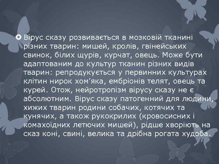  Вірус сказу розвивається в мозковій тканині різних тварин: мишей, кролів, гвінейських свинок, білих