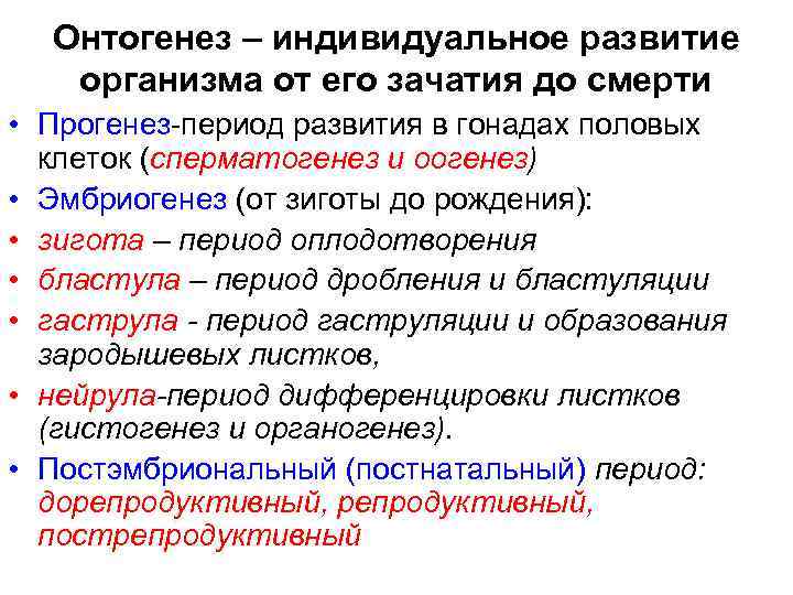 Онтогенез – индивидуальное развитие организма от его зачатия до смерти • Прогенез-период развития в