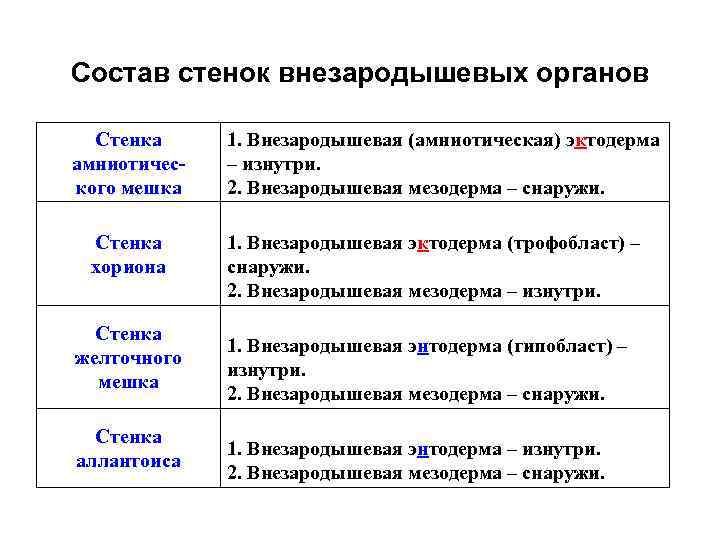Состав стенок внезародышевых органов Стенка амниотического мешка Стенка хориона Стенка желточного мешка Стенка аллантоиса