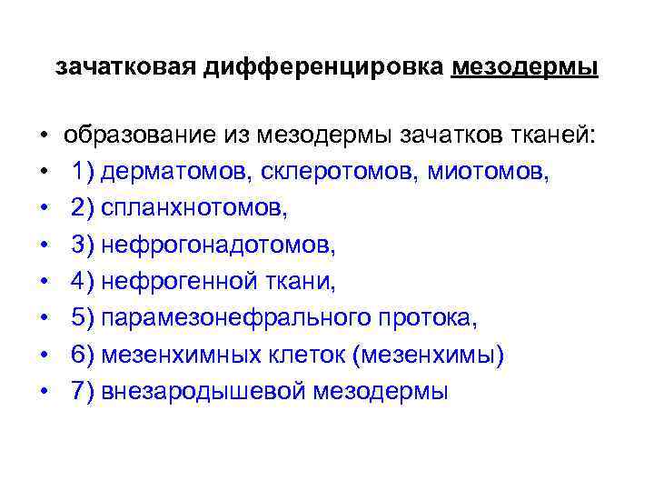 зачатковая дифференцировка мезодермы • • образование из мезодермы зачатков тканей: 1) дерматомов, склеротомов, миотомов,