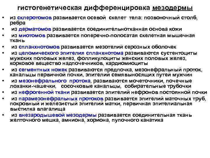 гистогенетическая дифференцировка мезодермы • • • из склеротомов развивается осевой скелет тела: позвоночный столб,