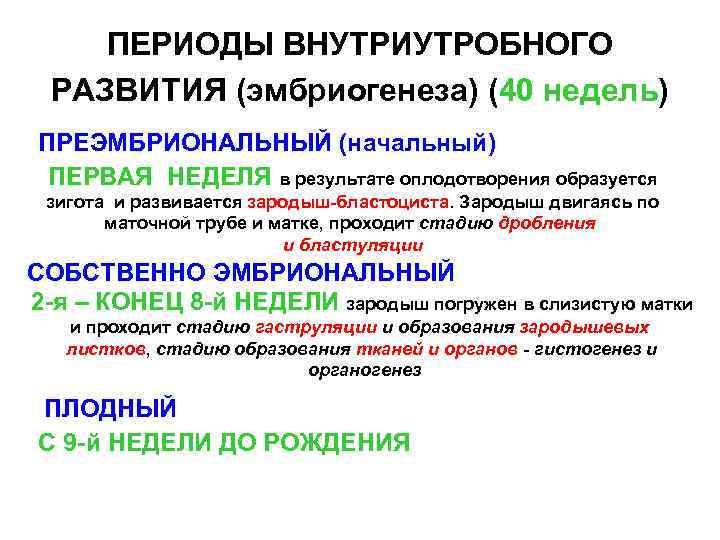 ПЕРИОДЫ ВНУТРИУТРОБНОГО РАЗВИТИЯ (эмбриогенеза) (40 недель) ПРЕЭМБРИОНАЛЬНЫЙ (начальный) ПЕРВАЯ НЕДЕЛЯ в результате оплодотворения образуется