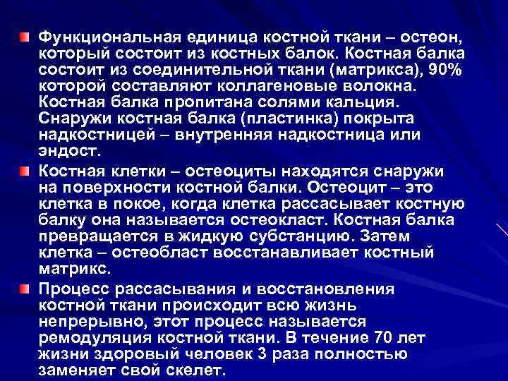 Функциональная единица костной ткани – остеон, который состоит из костных балок. Костная балка состоит