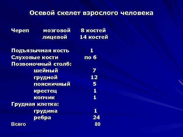 Осевой скелет взрослого человека Череп мозговой лицевой Подъязычная кость Слуховые кости Позвоночный столб: шейный