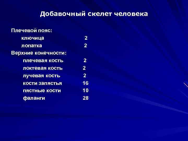 Добавочный скелет человека Плечевой пояс: ключица лопатка Верхние конечности: плечевая кость локтевая кость лучевая