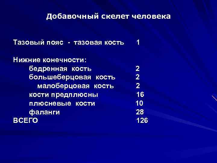 Добавочный скелет человека Тазовый пояс - тазовая кость 1 Нижние конечности: бедренная кость большеберцовая