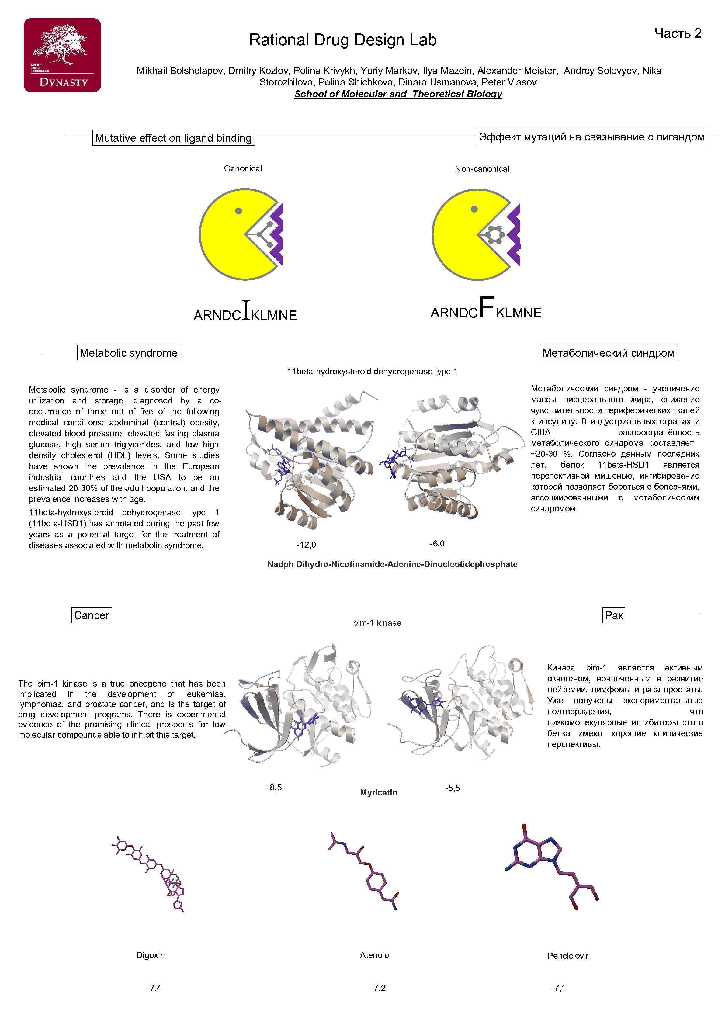 Часть 2 Rational Drug Design Lab Mikhail Bolshelapov, Dmitry Kozlov, Polina Krivykh, Yuriy Markov,
