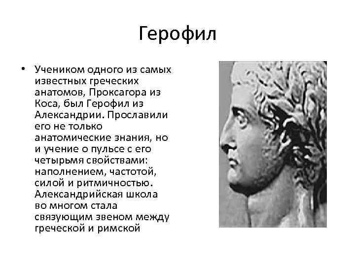 Герофил • Учеником одного из самых известных греческих анатомов, Проксагора из Коса, был Герофил