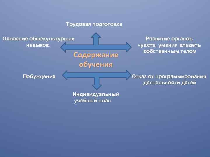 Трудовая подготовка Освоение общекультурных навыков. Содержание обучения Побуждение Развитие органов чувств, умения владеть собственным