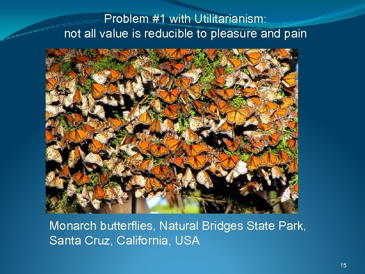 Problem #1 with Utilitarianism: not all value is reducible to pleasure and pain Monarch