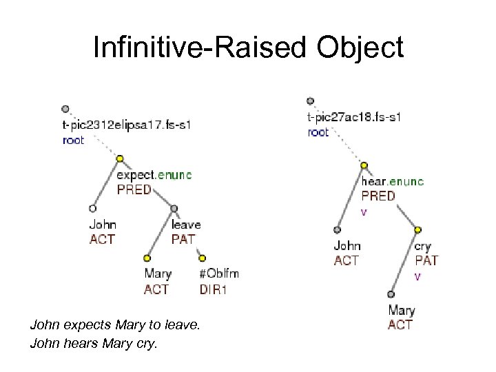 Infinitive-Raised Object John expects Mary to leave. John hears Mary cry. 