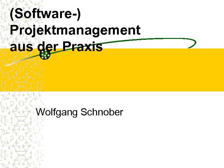 (Software-) Projektmanagement aus der Praxis Wolfgang Schnober 