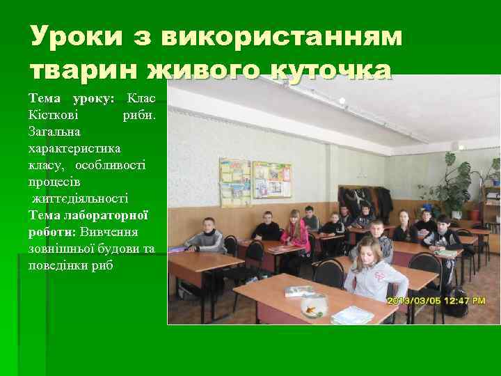 Уроки з використанням тварин живого куточка Тема уроку: Клас Кісткові риби. Загальна характеристика класу,