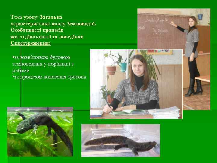 Тема уроку: Загальна характеристика класу Земноводні. Особливості процесів життєдіяльності та поведінки Спостереження: • за