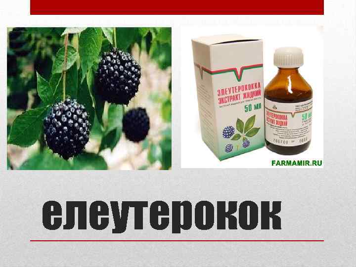 елеутерокок 