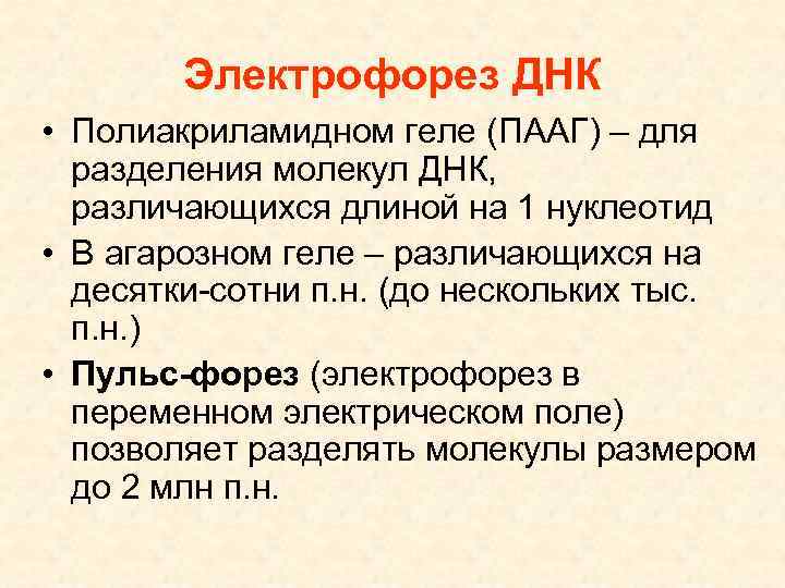 Электрофорез ДНК • Полиакриламидном геле (ПААГ) – для разделения молекул ДНК, различающихся длиной на