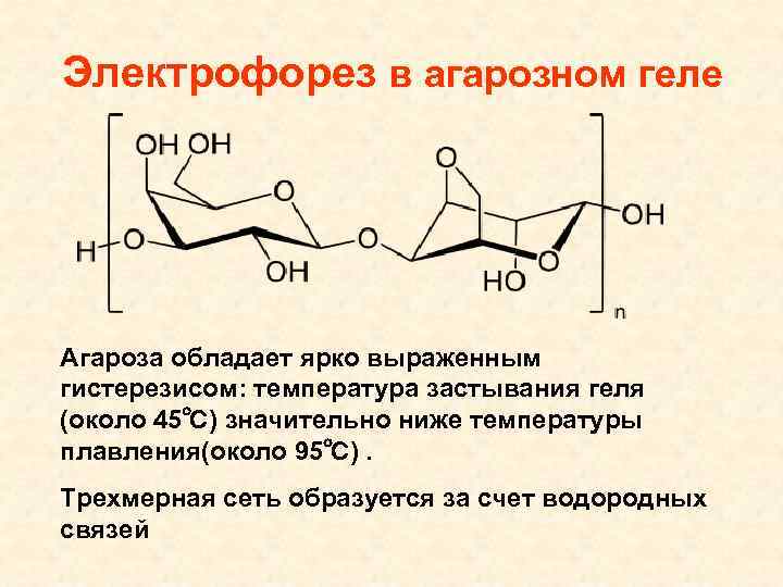 Электрофорез в агарозном геле Агароза обладает ярко выраженным гистерезисом: температура застывания геля (около 45℃)