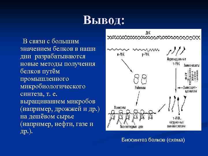Вывод: В связи с большим значением белков в наши дни разрабатываются новые методы получения