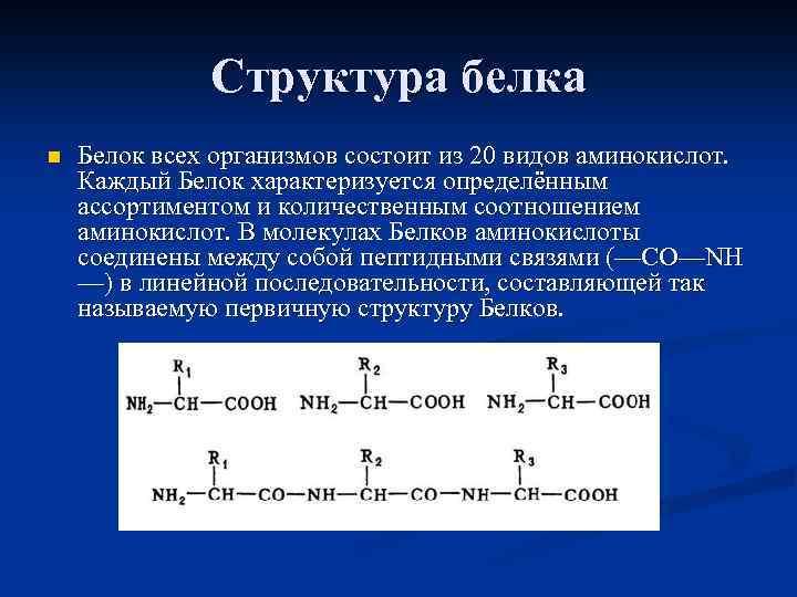 Структура белка n Белок всех организмов состоит из 20 видов аминокислот. Каждый Белок характеризуется