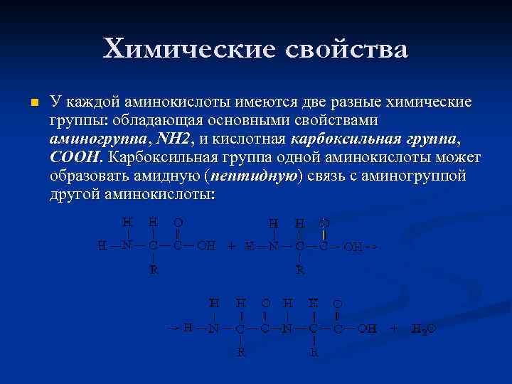 Химические свойства n У каждой аминокислоты имеются две разные химические группы: обладающая основными свойствами